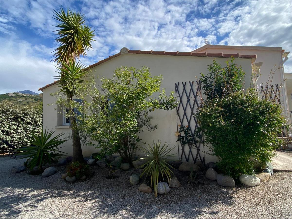 Casina Calenzana Apartment Exterior photo